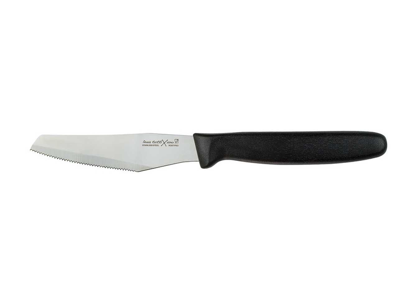 Boston coltello frutta 12 pezzi c3915