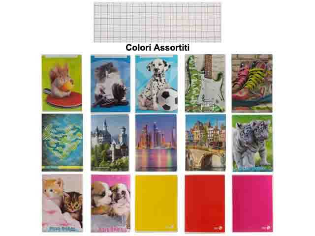 Quaderno maxi color 10 pezzi q 80gr - assortiti